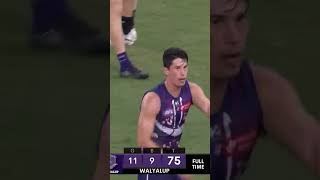 Fremantle Collingwood 2024 DRAW Theme Song afl collingwood fremantle draw [upl. by Chester]