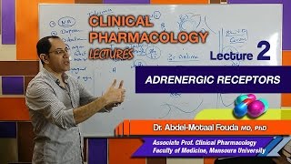 Autonomic Pharmacology Ar  Lec 02  Adrenergic Receptors [upl. by Aztinay]