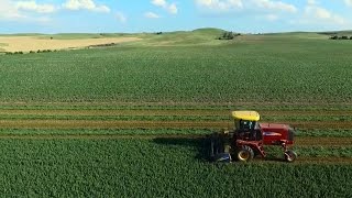 Alfalfa Swathing amp Baling LaRosh Farm [upl. by Aihcrop]