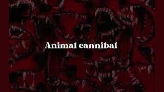 Vietsub  Lyrics Possibly in Michigan Animal cannibal [upl. by Chaddie]