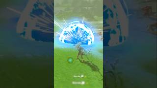 This Was Complete Skill Sarcasm zelda letsplaybreathofthewild videogame gaming funny [upl. by Cadmar628]