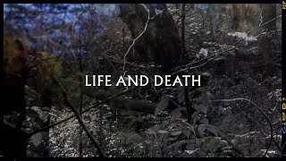 Metronomy  Life and Death Lyric Video [upl. by Anairda]