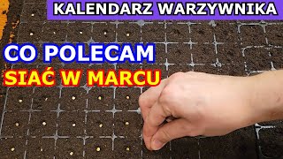 Co polecam siać w Marcu Kalendarz Ogrodnika Warzywnika 2023 Marzec Które Warzywa siać w Marcu [upl. by Allesiram]