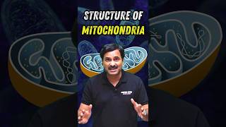 Structure of Mitochondria biology neetbiology neet2024 foryou [upl. by Beffrey795]