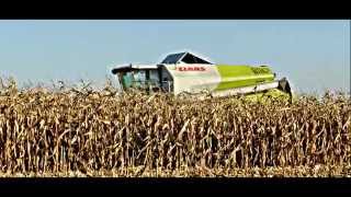 Claas Tucano 320 Żniwa kukurydziane 2014  Corn Harvest in Poland [upl. by Aiepoissac]