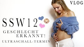 12 Wochen SCHWANGER Yeahy ♡  Geschlecht schon erkannt  Schwangerschaftsupdate [upl. by Arhna]