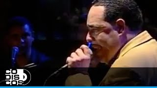 Dadivoso Y Maravilloso José Papo Rivera  En Vivo [upl. by Alacim]