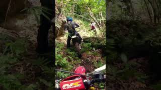 Green Moss enduro offroad dirtbike hardenduro [upl. by Enirol]