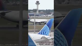 Delta A330 takes off for Detroit from Frankfurt Airport planespotting a330 detroit delta [upl. by Annaira]