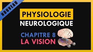 Physiologie Neurologique  Chapitre 8  La vision [upl. by Eidahs620]