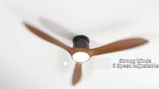 Ceiling fan light product details [upl. by Notsnarc]