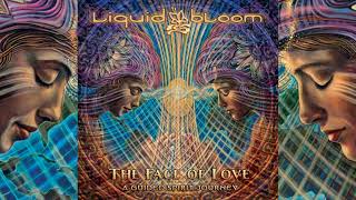 Liquid Bloom  The Face of Love A Guided Spirit Journey Full Album [upl. by Kinsler383]