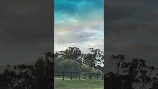 Plane flying in close proximity in Greenvale melbourne greenvale [upl. by Yvad]