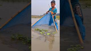 Amazing Two Boys Catching Big Fish by ucha net trap in Beel uchanettrapfishing fish catchfish [upl. by Dnomar]