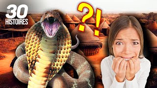 Un serpent terrorise un village 🐍😱  les histoires insolites [upl. by Charters]