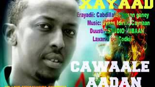 Cawaale Aadan Hees Cusub Xayaad [upl. by Fidelas]