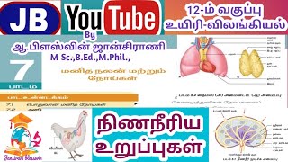 12th BIO Zoology7Health and DiseasesLYMPHOID ORGANS TM [upl. by Heise]