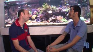 Help Reef entrevista [upl. by Negroj]