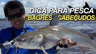 DICA PARA PESCA DE BAGRES CABEÇUDOS NO CANAL Itanhaém  SP [upl. by Niram433]