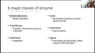 Enzyme Kinetics I 1 [upl. by Buttaro]