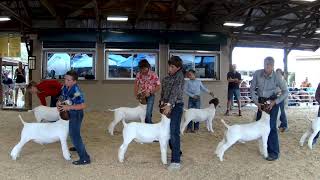 Market Goat Show [upl. by Nitaj]