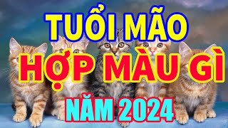 Tuổi Mão Hợp Màu Gì Năm 2024 Mang Lại Tài Lộc May Mắn I tv24h tuoimaohopmaugi2024 tuvi24h [upl. by Khalin943]