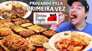 PROVAMOS PELA PRIMEIRA VEZ AS COMIDAS DO DIVINO FOGÃO  Vale a pena [upl. by Ivanna]