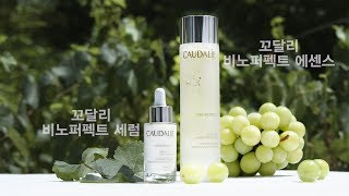 Caudalie 꼬달리 비노퍼펙트 파워듀오 [upl. by Amador]