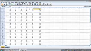 How to Use SPSSData Aggregation [upl. by Parry]