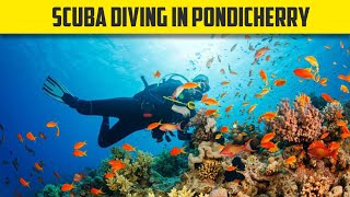 Scuba Diving Experience in Pondicherry  BEST Underwater experience in India😍 [upl. by Joann]