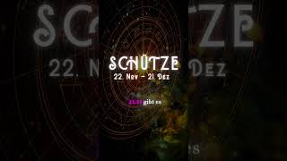 🏹 Schütze Horoskop 2 Novemberwoche 2024 Abenteuer erwartet dich 🌍 schütze [upl. by Carlton]