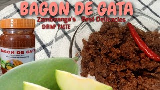 Bagon de Gata l How to cook ginisang bagoong l business ideas SHES Kooking [upl. by Eddina737]