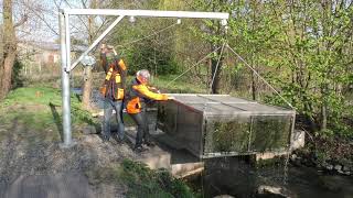 Oker Fischmonitoring 2019 an der AOLGKontrollstation in Meinersen [upl. by Akimal982]