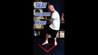 SILAT Footwork Must Knows For Beginners [upl. by Nnhoj538]