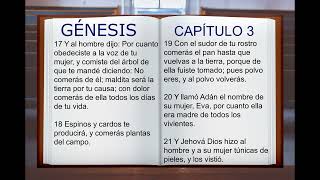 LA BIBLIA HABLADA quotGENESIS 1 AL 50quot COMPLETO REINA VALERA ANTIGUO TESTAMENTO [upl. by Elcarim]