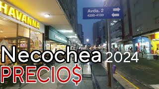 Precios NECOCHEA  Cuanto traer para Gastar Vacaciones 2024 recorriendo [upl. by Gowrie]