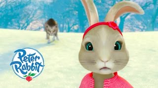 Peter Rabbit amp Friends The Royal Ballet Film 34 [upl. by Diandra]