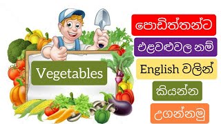 Vegetables names in English and Sinhala  එළවළු වල නම් ඉංග්‍රීසියෙන් සහ සිංහලෙන්  English Sinhalen [upl. by Bassett19]