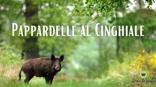 Pappardelle al Cinghiale [upl. by Anier250]