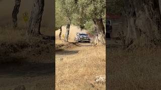 WRC Acropolis Rally 2024 SS9 Agioi Theodoroi Katsuta Toyota Yaris Rally 1 [upl. by Ailicec624]