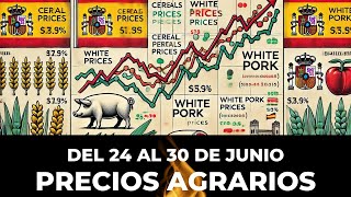 Los cereales suavizan los descensos en las lonjas agrarias españolas [upl. by Oelc706]