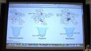 12 Biochemistry Catalytic Mechanisms I Lecture for Kevin Aherns BB 450550 [upl. by Bum74]