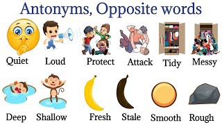 Antonyms In English  Opposite Words  Learn About Opposite Words  Daily Use English vocabulary [upl. by Capello]