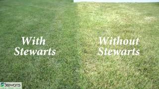 quotBefore and Afterquot Stewarts Lawn Care Services  Lawn Fertilizer Service  Weeds  Green Grass [upl. by Midian]