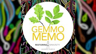 Gemmo Memo Silver Lime [upl. by Eppesuig]