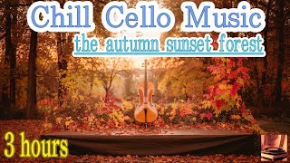 Relax NOW 🎧 Chill Cello Music in the calm autumn sunset forest 🎵 3 hours to sleep  work to [upl. by Yelyac]