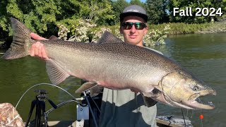 Non Stop KING Salmon Action In Michigan Fall 2024 Fishing For King Salmon [upl. by Eimrots]