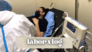 LABOR VLOG [upl. by Asuncion]