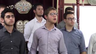 Yerushalayim Shel Zahav [upl. by Goulder]