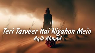 Teri Tasveer Hai Nigahon Mein Full Song  Aqib Ahmad  Khwaab  Instagram Trending Song 2024 [upl. by Grannias]